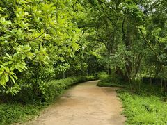 -西湖风景区-江洋畈生态公园