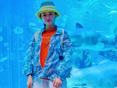-暹罗海洋世界