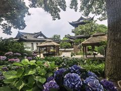 -无锡蠡湖国家湿地公园-蠡园