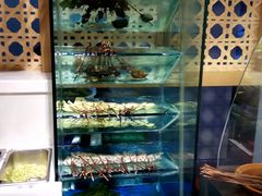 -香坝坝鲜鱼火锅(春熙路店)