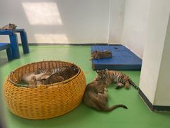 -北京野生动物园