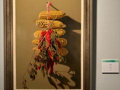 -江苏省美术馆(长江路新馆)
