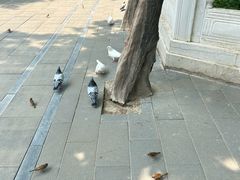 -潭柘寺景区