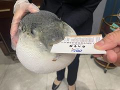 -鲐赏河豚(长寿店)