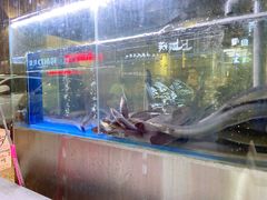 -本炙炭烤·蒲烧活鳗料理店(金沙洲店)