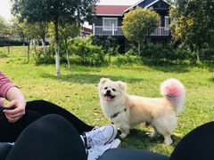 -武汉紫薇都市田园