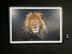 -罗红摄影艺术馆