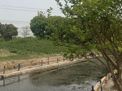 -上海杨姆庄园