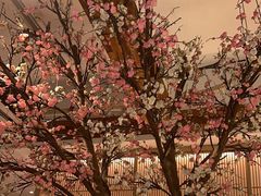 -蜜桃餐厅·伴山(湖滨商业街店)