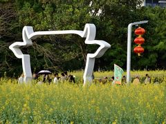 -光明小镇欢乐田园