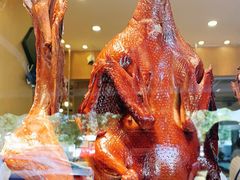 -钟鸭子·非物质文化遗产(观景路店)