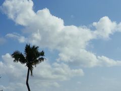-清水湾旅游度假区