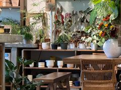 -自由生长植物工作室(深港花卉中心店)