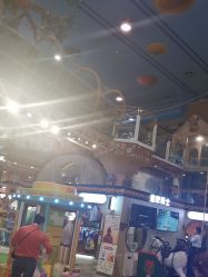 -卡通尼·Safari非洲探索乐园·生日会(金桥国际商业广场店)