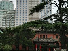 -南京钟山宾馆(江苏省会议中心)