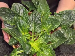 -重八牛府之小有名气(大望路店)
