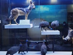 -国家自然博物馆