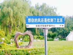 -宝馨月月子中心(友谊医院店)