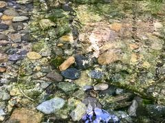 -碓臼峪自然风景区