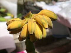 -红土地(地铁站)