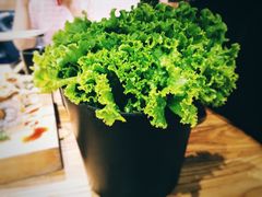 生菜-九田家黑牛烤肉料理(衡百国际店)