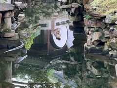 -豫园