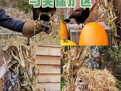 -伦敦比斯特购物村