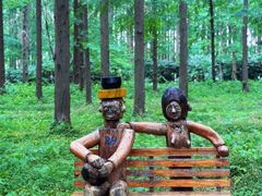 -黄海国家森林公园