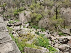 -泰山风景名胜区