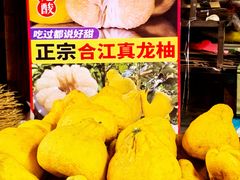 -尧坝古镇