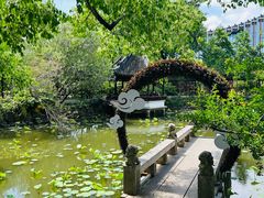 -上海醉白池公园