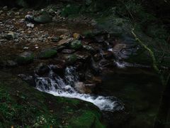 -牛背梁国家森林公园