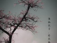 -里口山风景名胜区