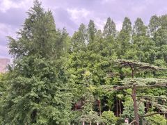 -上海虹桥迎宾馆