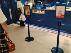 -the Roll'ING手作瑞士卷专门店(卓悦中心店)