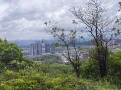 -马峦山郊野公园