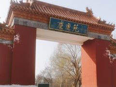 -北京麋鹿生态实验中心