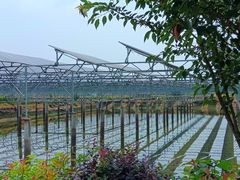 -丝绸小镇荻港古村