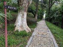 -菊花台公园