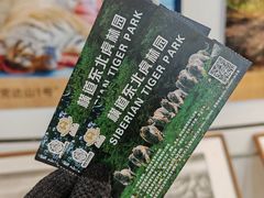 -横道河子东北虎林园