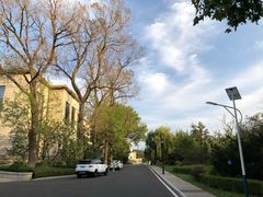 -棒棰岛宾馆景区