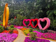 -深圳仙湖植物园