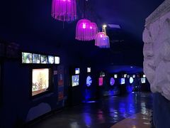 -烟台海昌鲸鲨海洋公园