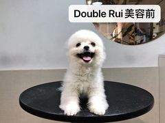 -Double Rui宠物酒店