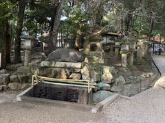 -奈良公园