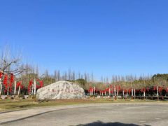 -上海海湾国家森林公园