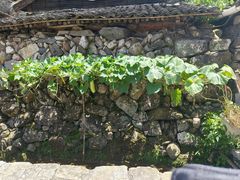 -MOJ coffee(瓯海泽雅水碓坑店)