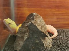 -砂之船奥特莱斯(合肥店)