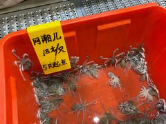 -正亮海鲜(人民西路店)
