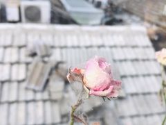 -小时光咖啡馆(北锣鼓巷店)